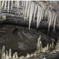Charleston Glow Worm Caves